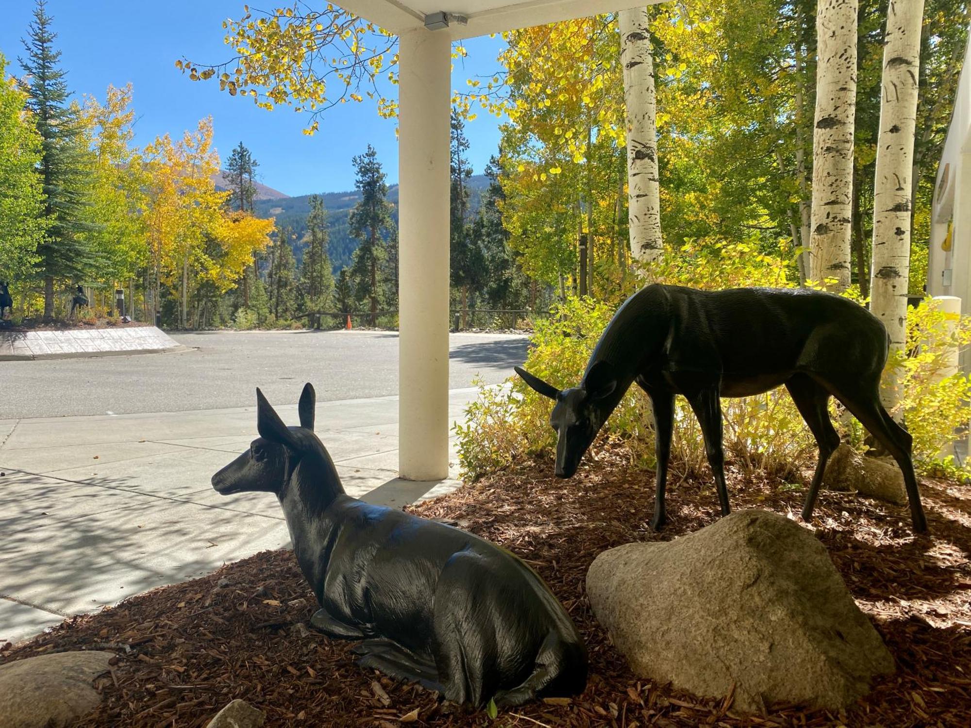 Wild Irishman 1043 By Summitcove Lodging Кийстоун Екстериор снимка